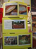 IMG_9893