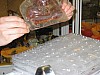 IMG_0046