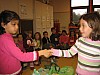 IMG_0089